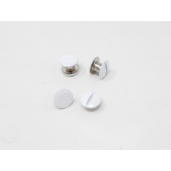 VIS NICKELEE A TETE BLANCHE POUR RELIURE 5 MM PAR 100