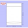 SACHET Transparent PET/PE Ouverture ZIP et Thermoscellable 210 x 310 mm/1000