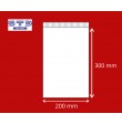 Sachet ZIP 200 x 300 mm